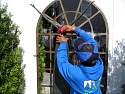General Property Clean Up