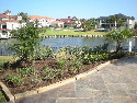 Landscape41.jpg
