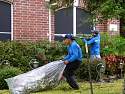 Cleanup2.jpg