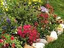 SeasonalColor1.jpg