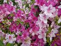 SeasonalColor10.jpg
