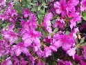 SeasonalColor12.jpg