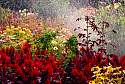 SeasonalColor4.jpg